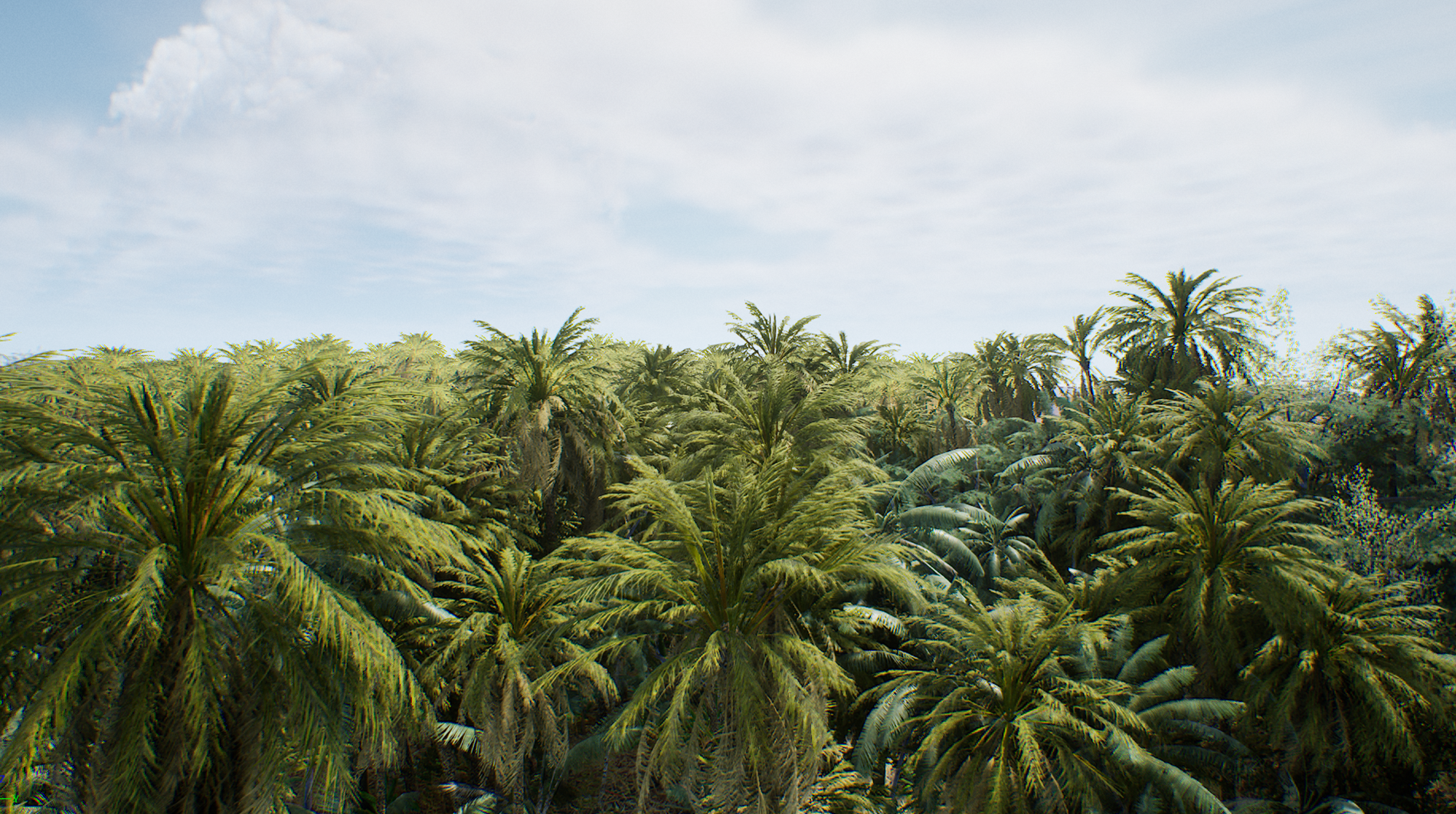 Estuary Palms Screenshot